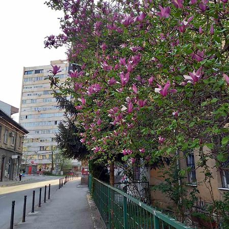 Hansa Apartment Sarajevo Ngoại thất bức ảnh